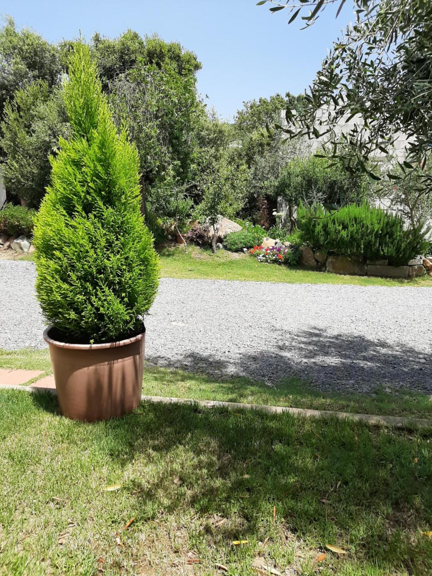 B&B Su Frascu Segau Теулада Экстерьер фото